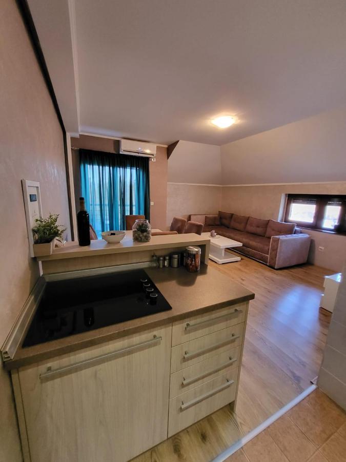 Apartman Crown Vrnjačka Banja Zewnętrze zdjęcie