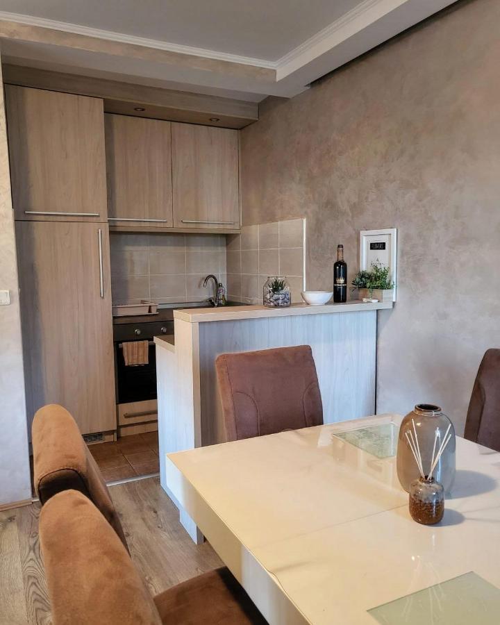 Apartman Crown Vrnjačka Banja Zewnętrze zdjęcie