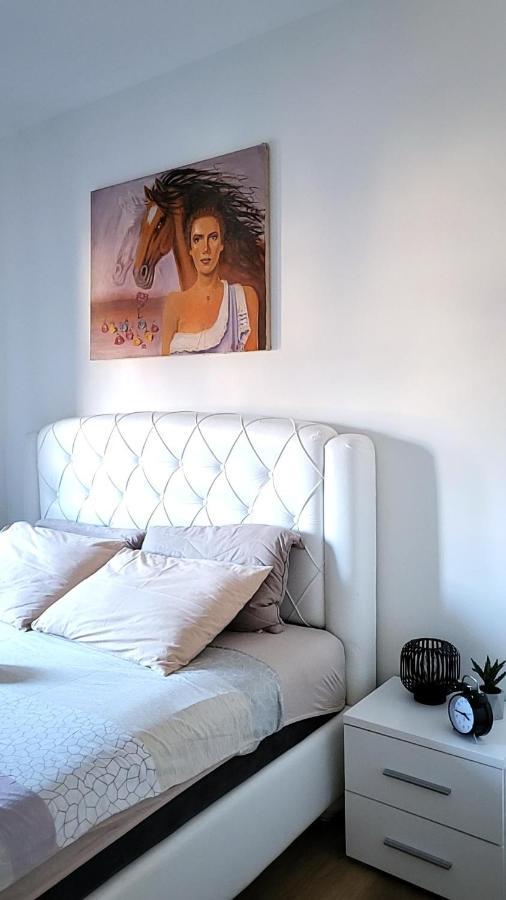 Apartman Crown Vrnjačka Banja Zewnętrze zdjęcie